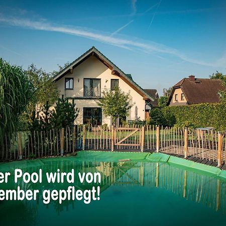 Ferienhaus Mountfrosch Mit Sauna Und Naturpool Monschau Zewnętrze zdjęcie