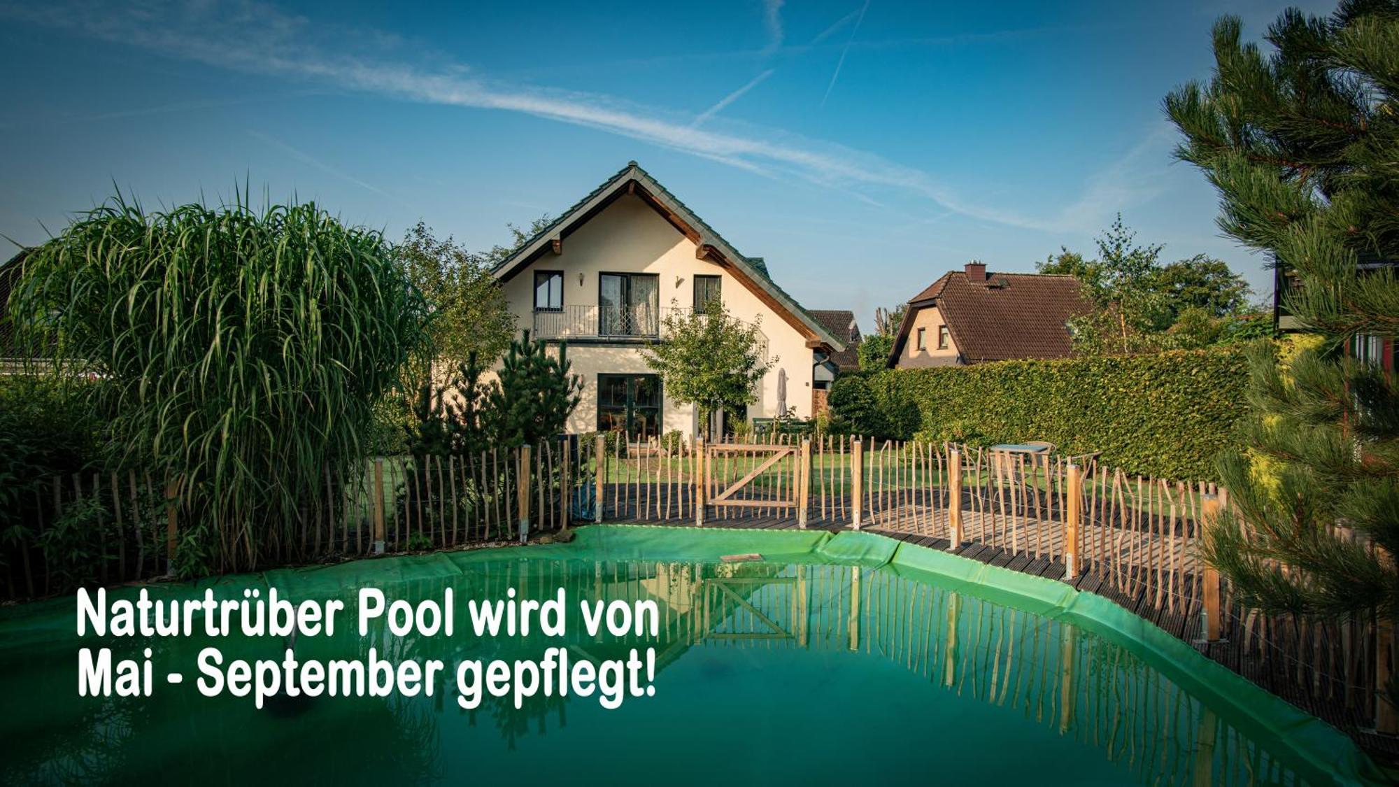 Ferienhaus Mountfrosch Mit Sauna Und Naturpool Monschau Zewnętrze zdjęcie
